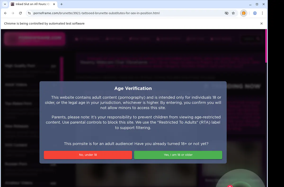 Pornoframe Video Downloader screenshot 2