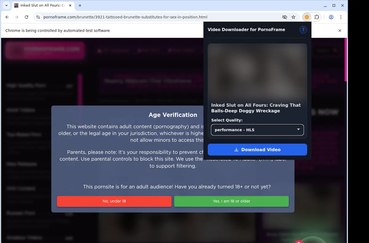 Pornoframe Video Downloader screenshot 3