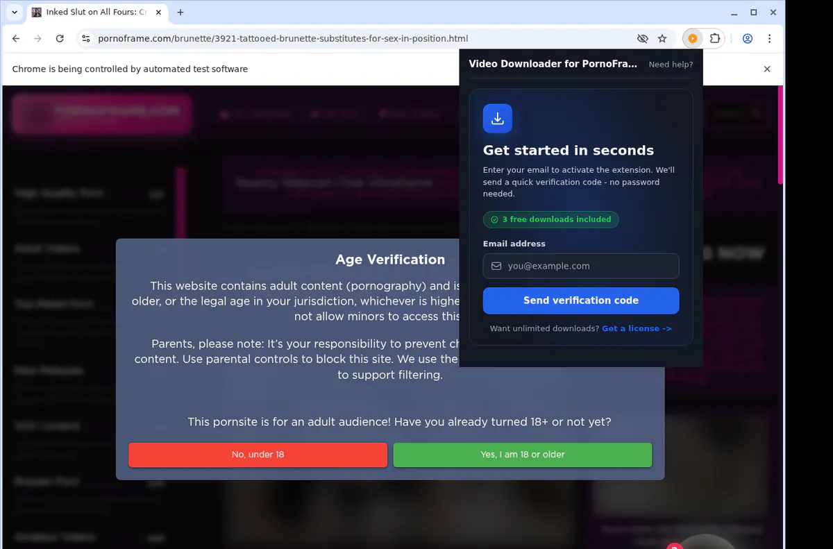 Pornoframe Video Downloader screenshot 4
