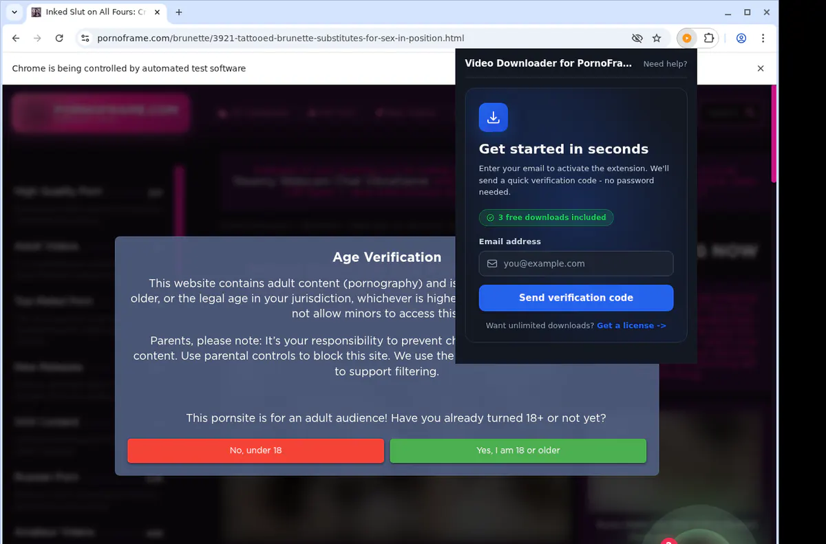Pornoframe Video Downloader screenshot 5